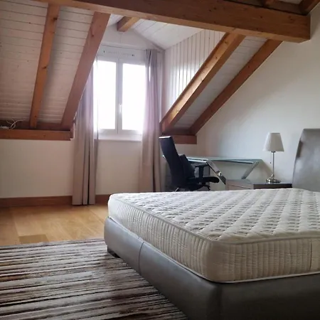Penthouse In Cologny Switzerland * Genf